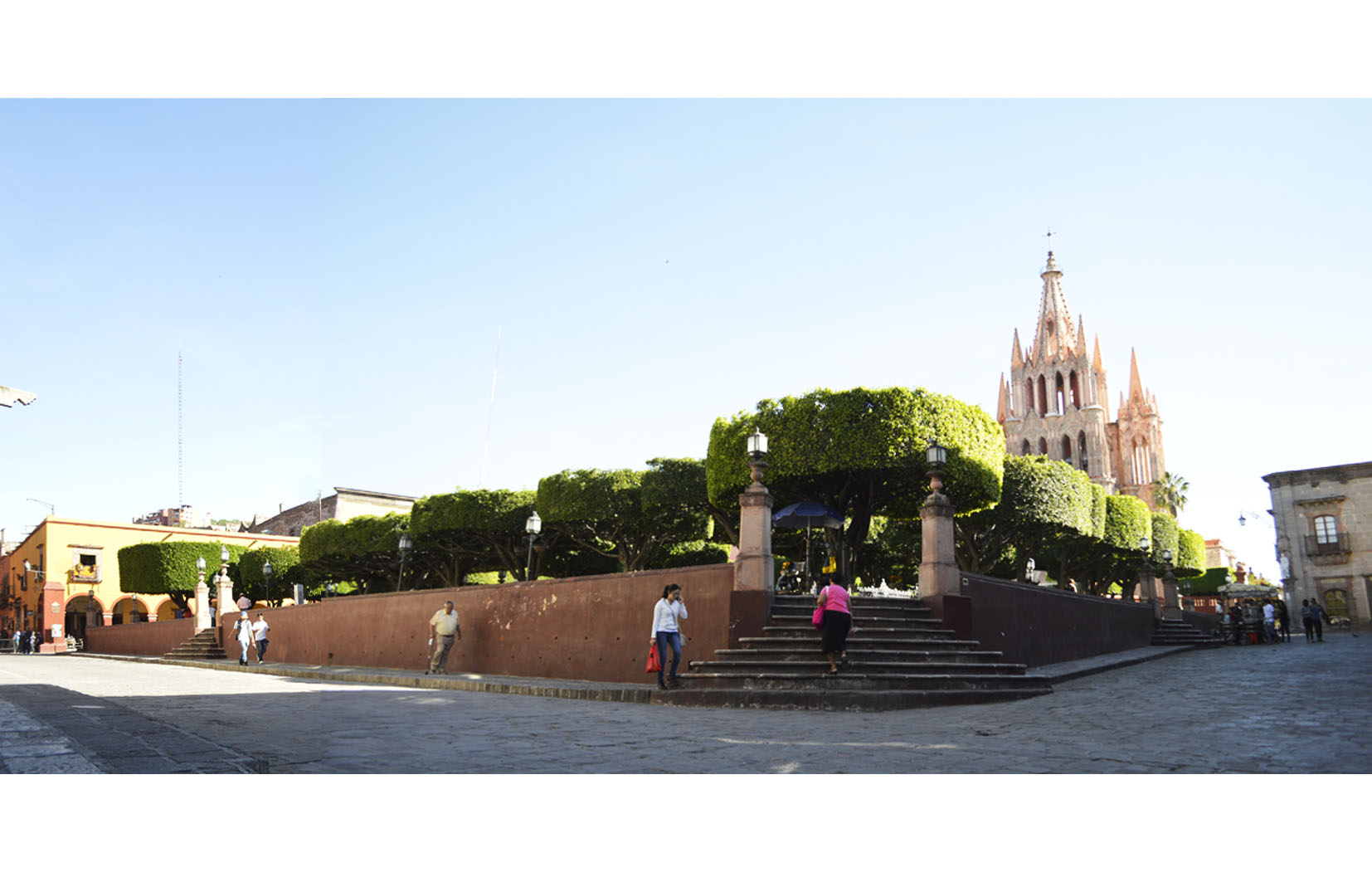 Imagen del jardín, 2015.