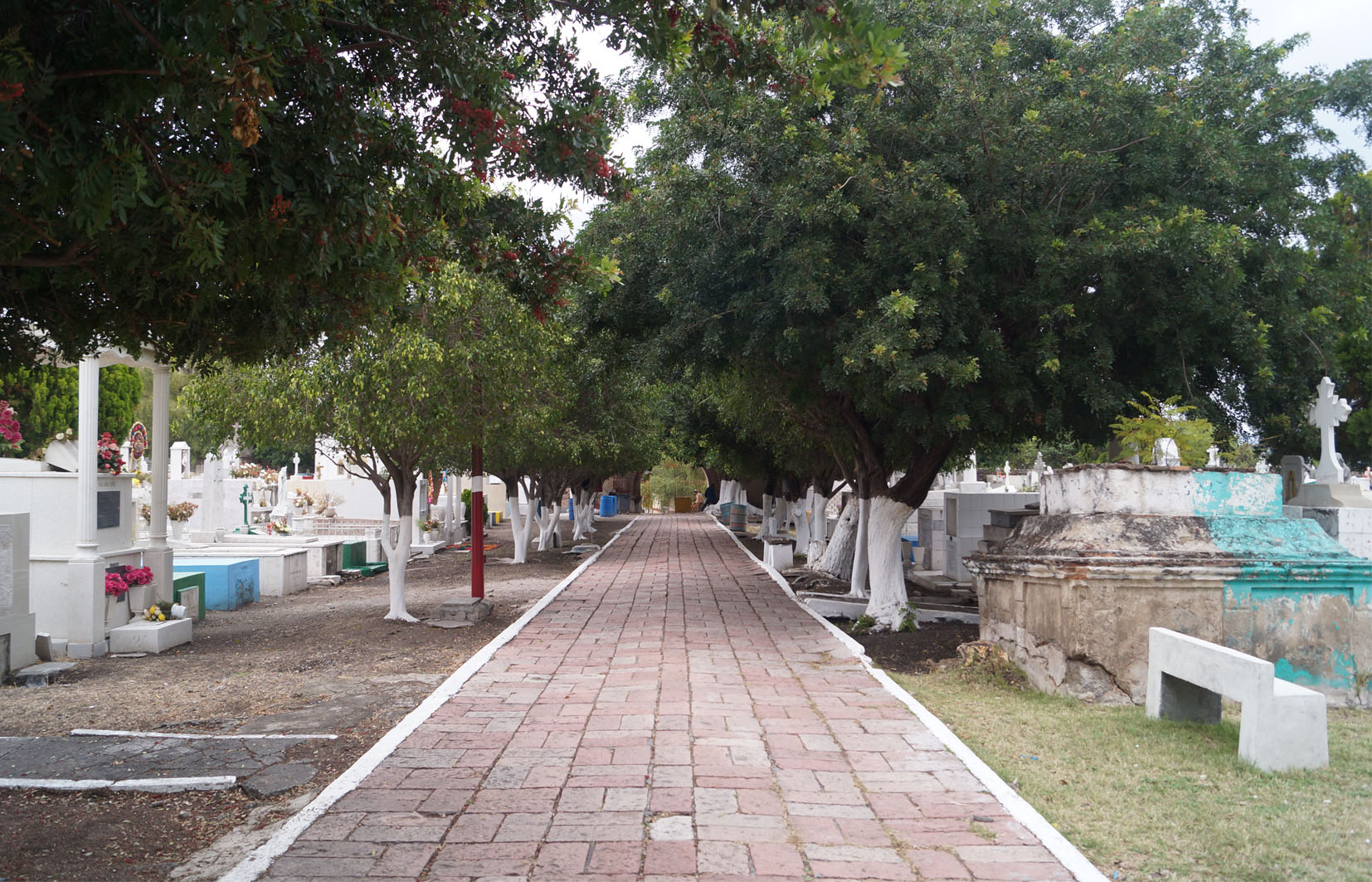 Andador central con tumbas laterales, 2016.